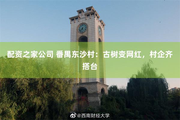 配资之家公司 番禺东沙村：古树变网红，村企齐搭台