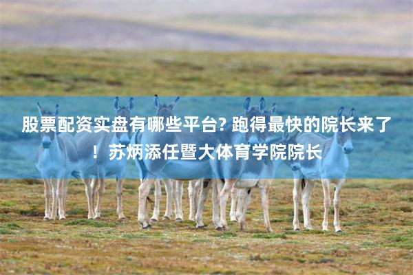 股票配资实盘有哪些平台? 跑得最快的院长来了！苏炳添任暨大体育学院院长