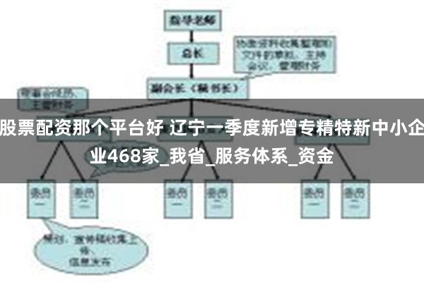 股票配资那个平台好 辽宁一季度新增专精特新中小企业468家_我省_服务体系_资金