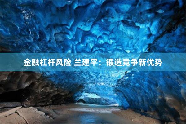 金融杠杆风险 兰建平：锻造竞争新优势