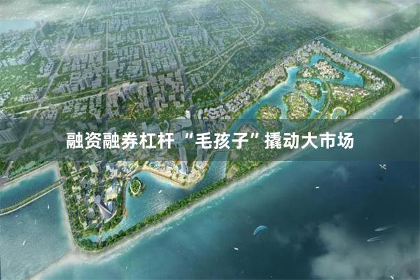 融资融券杠杆 “毛孩子”撬动大市场