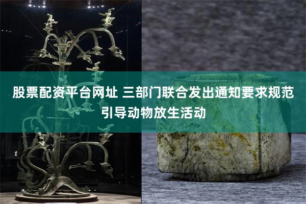 股票配资平台网址 三部门联合发出通知要求规范引导动物放生活动