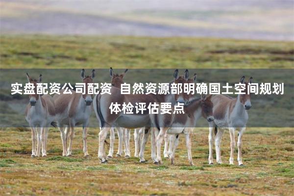 实盘配资公司配资  自然资源部明确国土空间规划体检评估要点