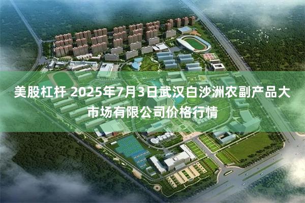美股杠杆 2025年7月3日武汉白沙洲农副产品大市场有限公司价格行情