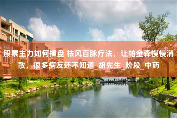 股票主力如何操盘 祛风百脉疗法，让帕金森慢慢消散，很多病友还不知道_胡先生_阶段_中药