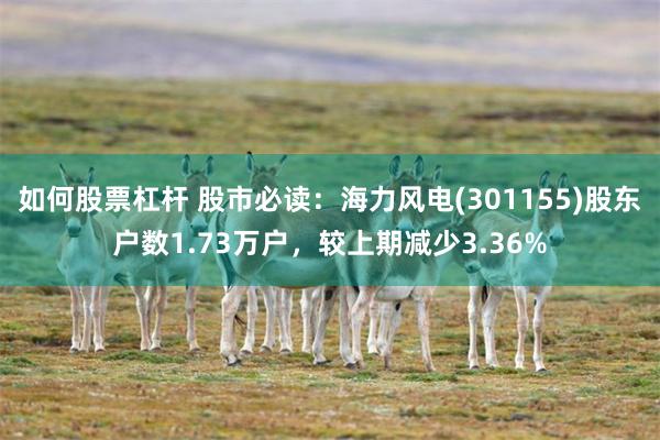 如何股票杠杆 股市必读：海力风电(301155)股东户数1.73万户，较上期减少3.36%