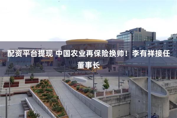 配资平台提现 中国农业再保险换帅！李有祥接任董事长