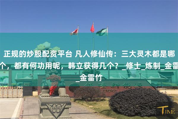 正规的炒股配资平台 凡人修仙传：三大灵木都是哪三个，都有何功用呢，韩立获得几个？_修士_炼制_金雷竹