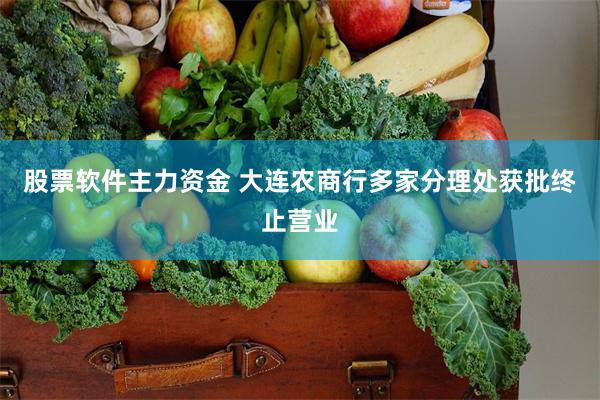 股票软件主力资金 大连农商行多家分理处获批终止营业