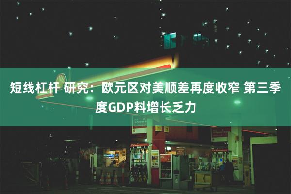 短线杠杆 研究：欧元区对美顺差再度收窄 第三季度GDP料增长乏力