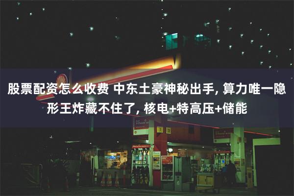 股票配资怎么收费 中东土豪神秘出手, 算力唯一隐形王炸藏不住了, 核电+特高压+储能