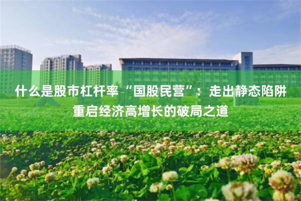 什么是股市杠杆率 “国股民营”:走出静态陷阱重启经济高增长的破局之道